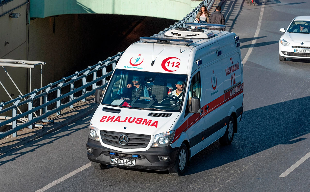 gd_project / Shutterstock