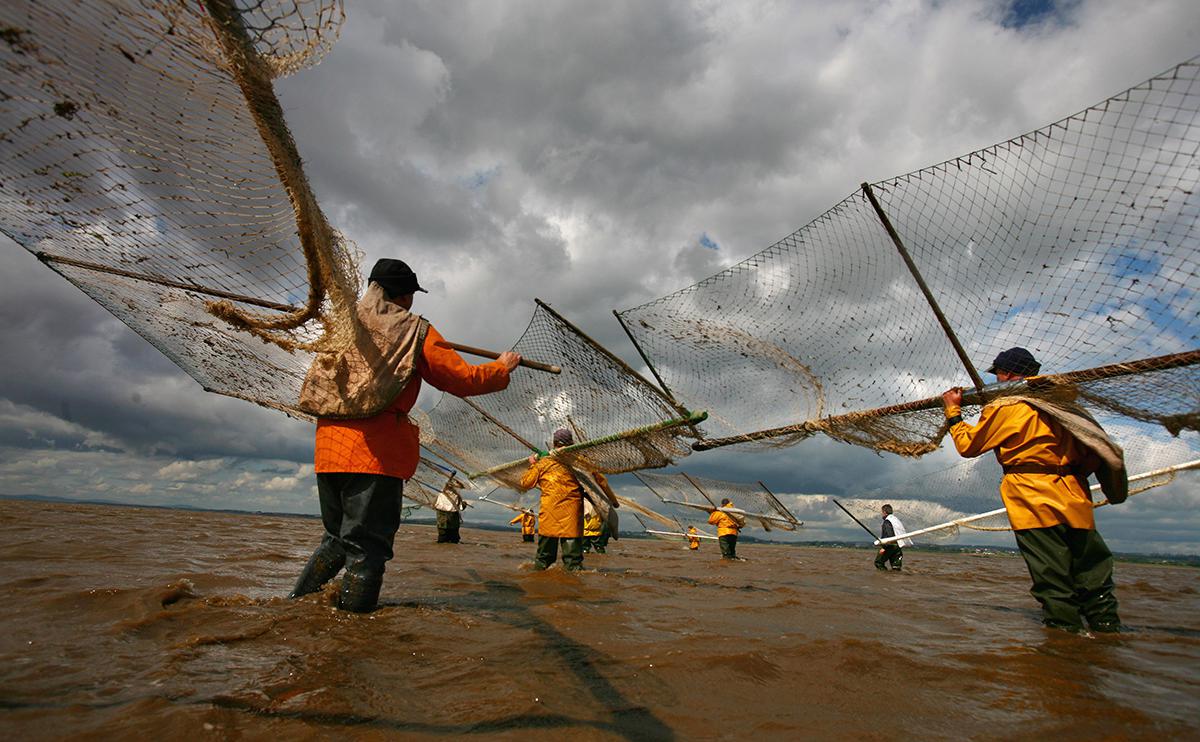 Фото: Jeff J Mitchell / Getty Images