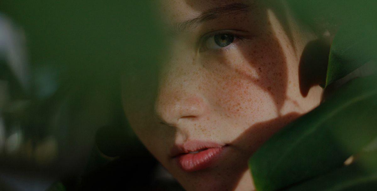 Фото: Alefe Almeida / Pexels