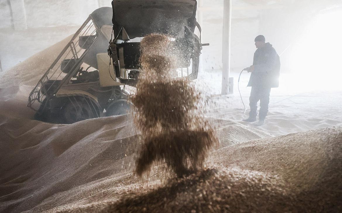 Аналитики предупредили о риске хранения рекордного урожая зерна