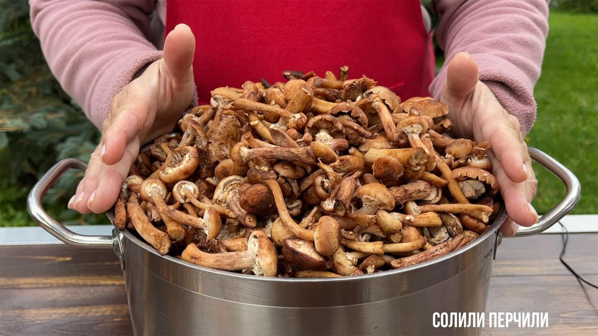 Как приготовить опята из замороженных грибов: аппетитные рецепты