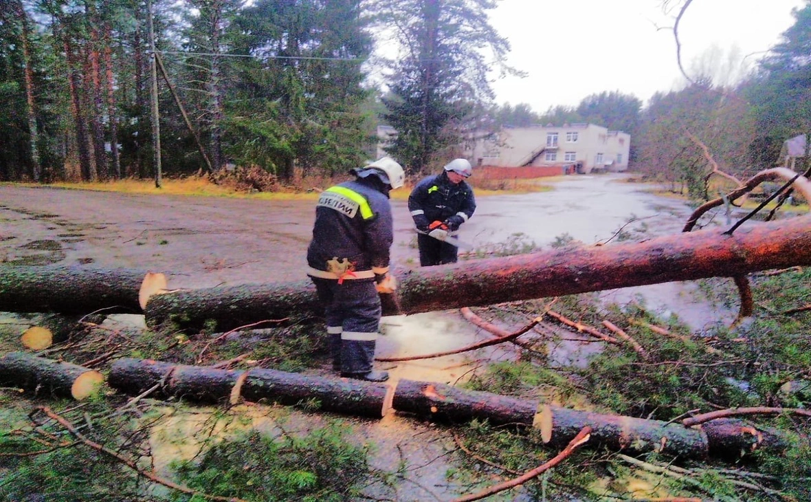 глава госкомитета по обеспечению жизнедеятельности и безопасности населения Олег Поляков / vk.com