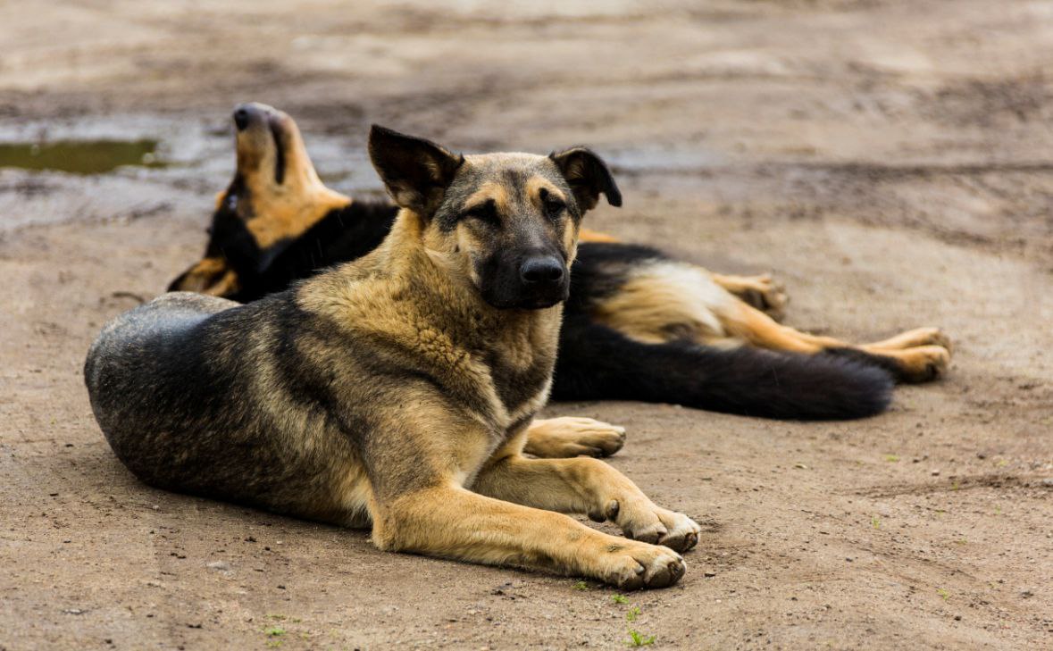 Фото: gov-murman.ru