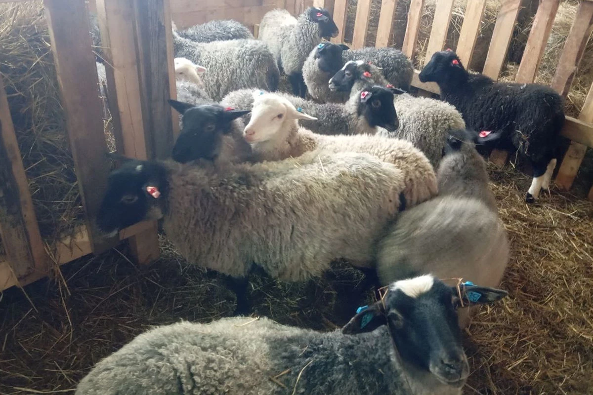 министерство сельского хозяйства и продовольственных ресурсов Вологодской области