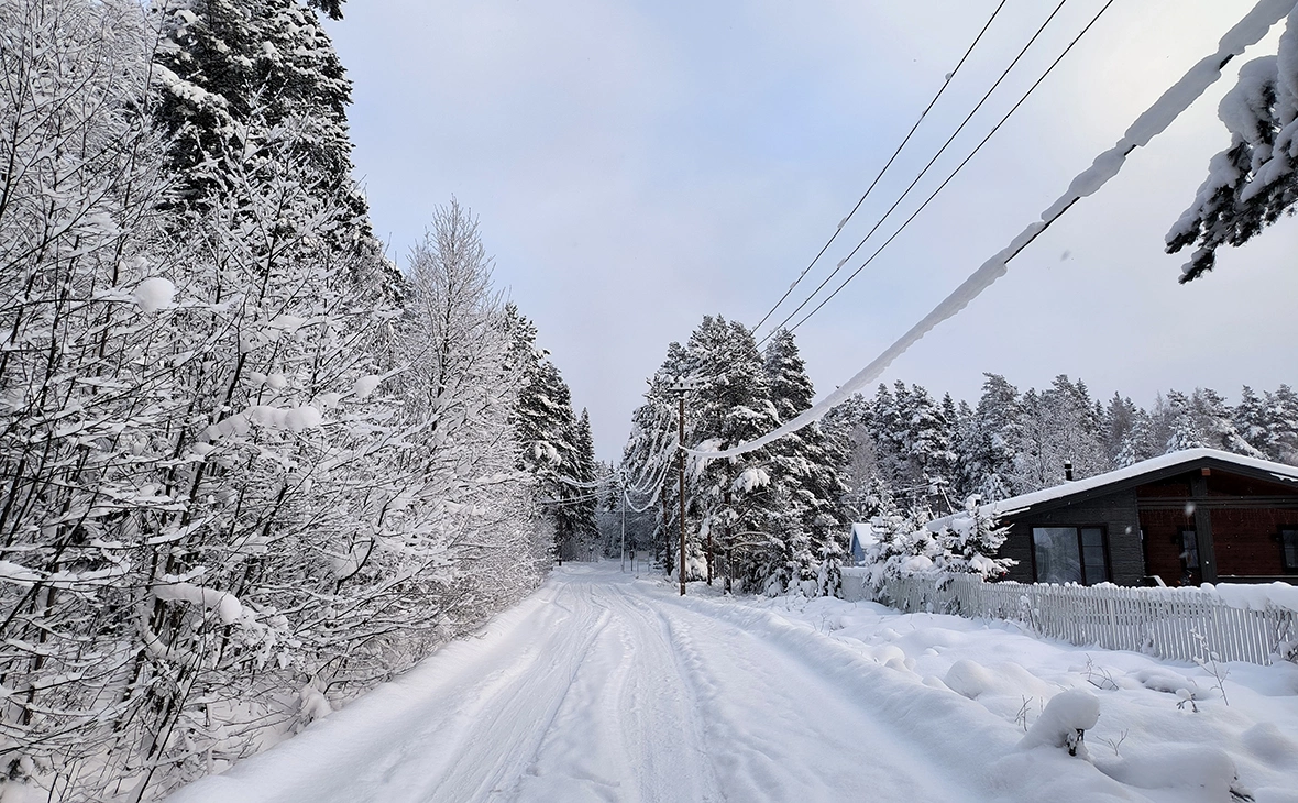 Максим Константинов / Global Look Press