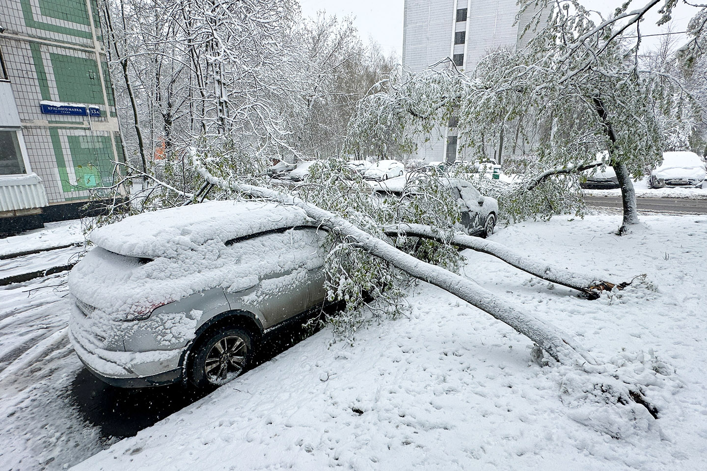 Фото: Мобильный репортер / Агентство «Москва»