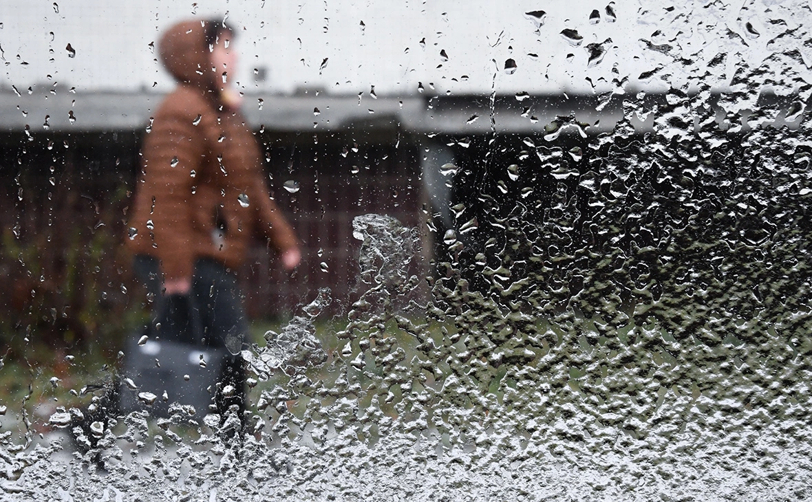 Кирилл Каллиников / РИА Новости