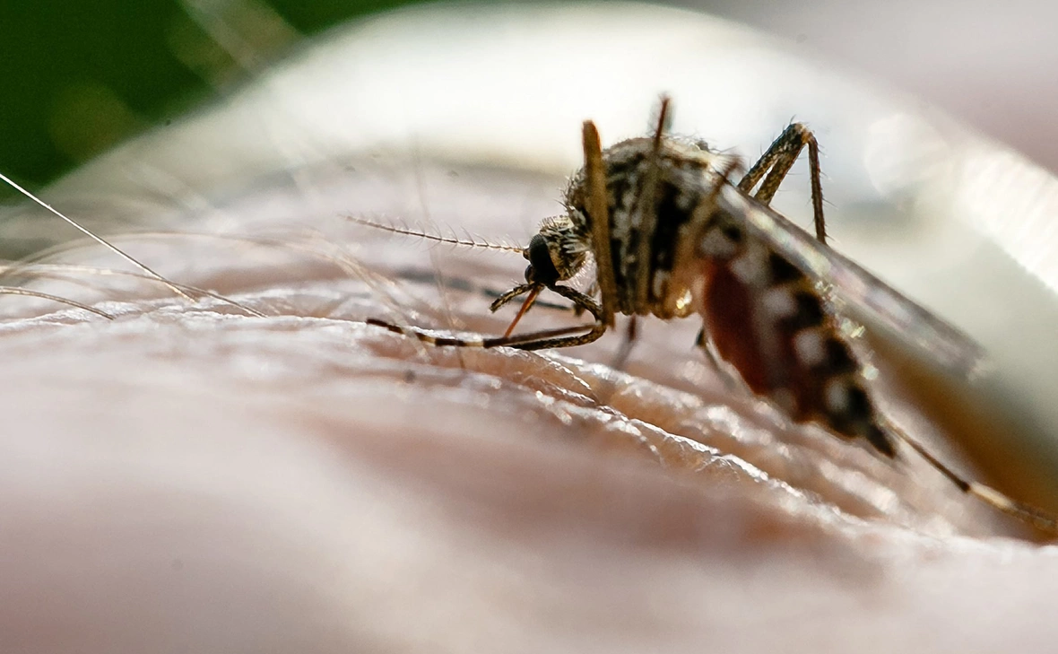 Markus Scholz / dpa / Global Look Press