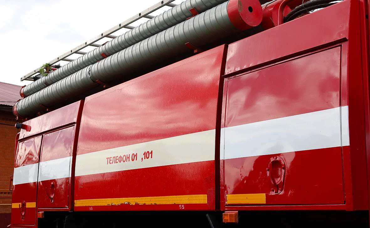 Елена Майорова / Global Look Press