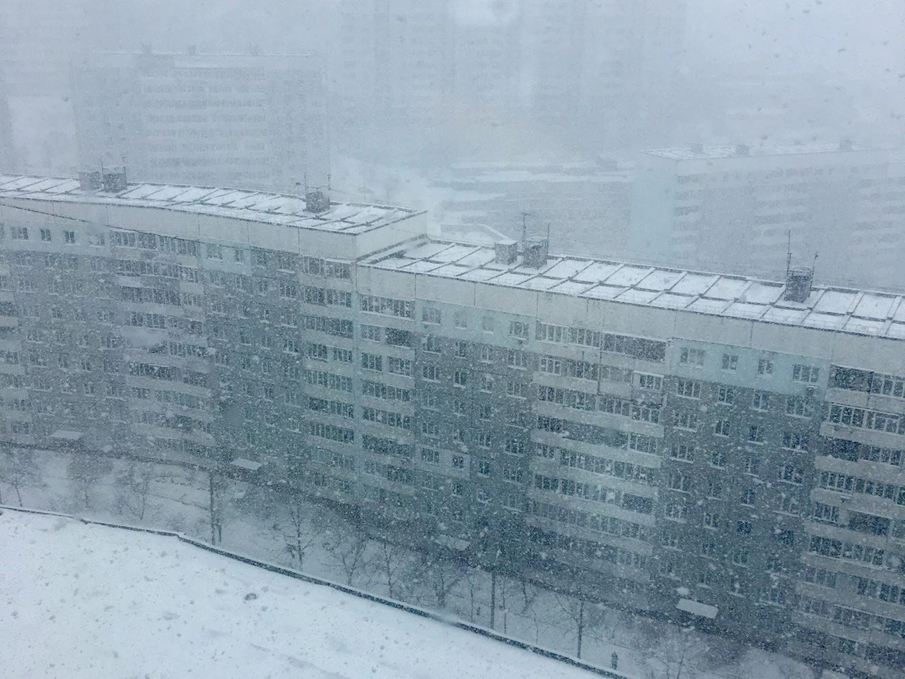 РБК Приморье