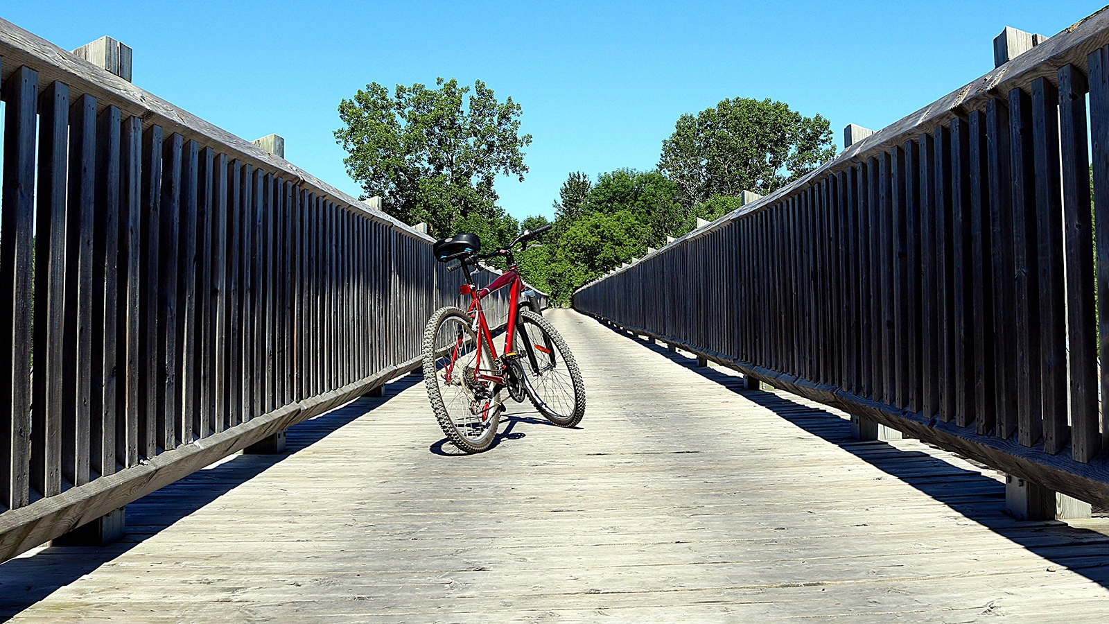 В США возле велотропы нашли останки пропавшего 10 лет назад студента