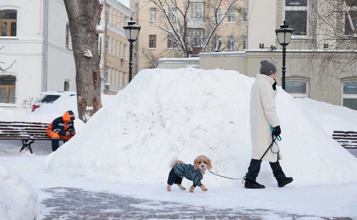 Михаил Гребенщиков / РБК