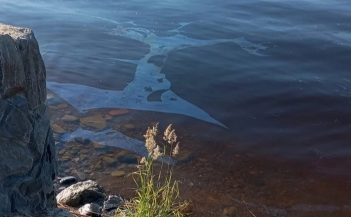 министерство природных ресурсов и экологии Республики Карелия / vk.com