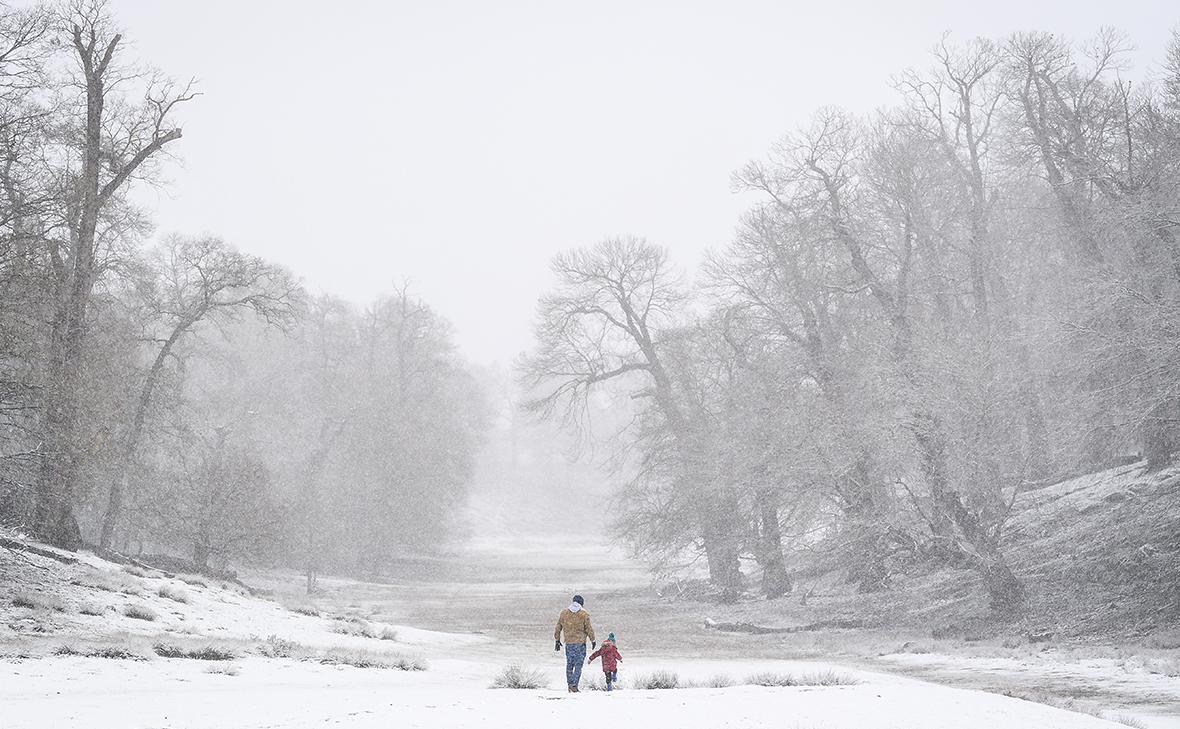 Фото:Leon Neal / Getty Images