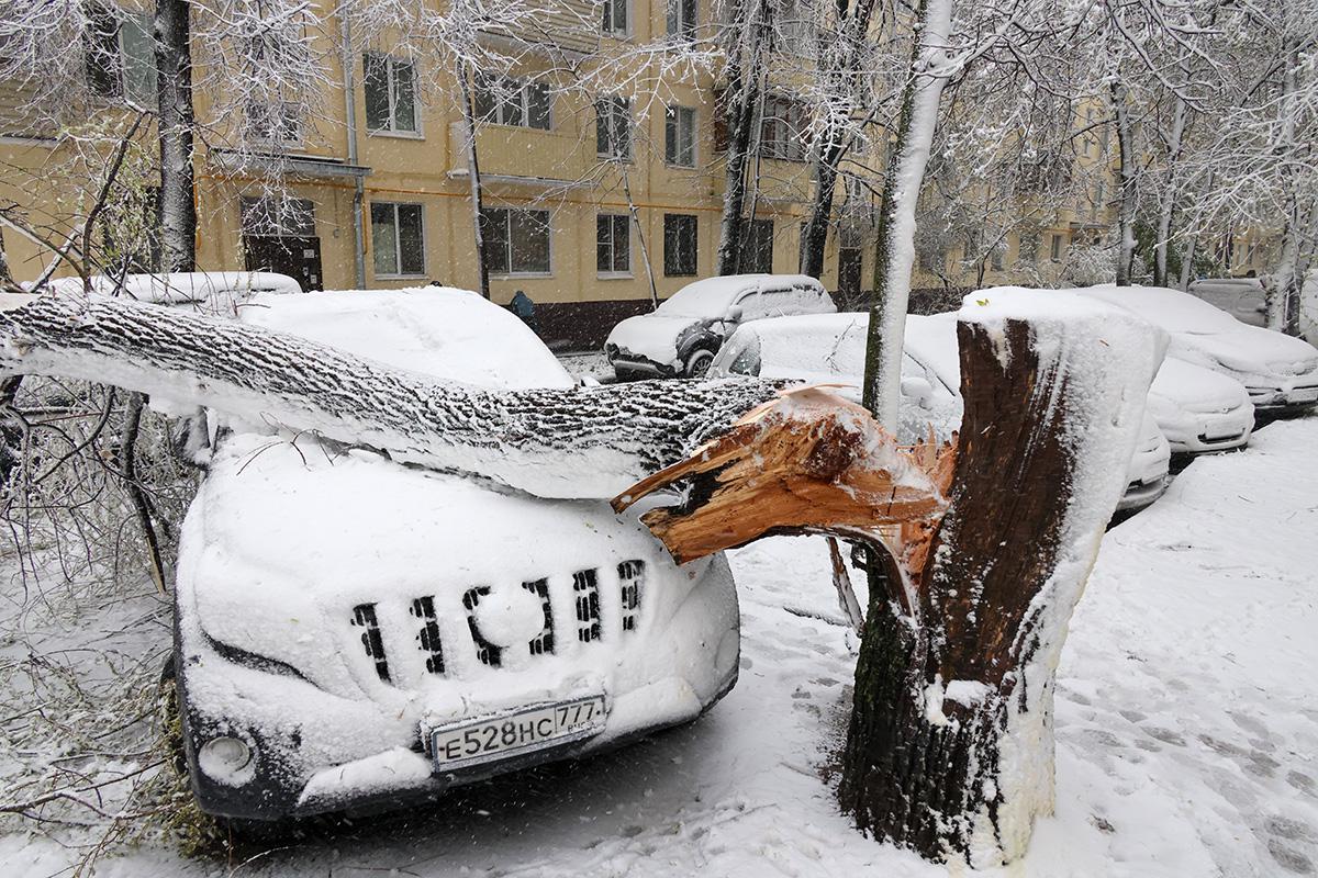 Снегопад в Москве, 27 апреля 2026 года