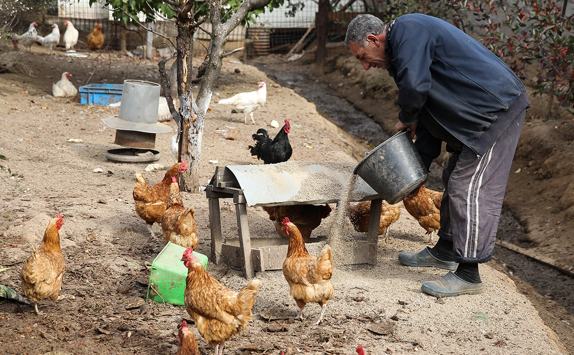Екатерина Кузьмина / РБК