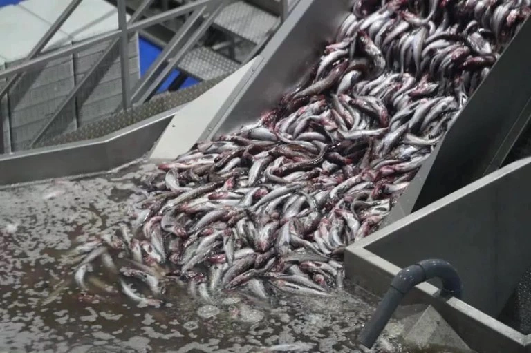 Правительство Сахалинской области