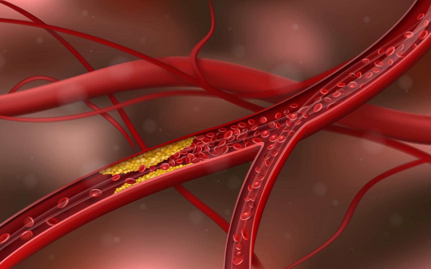 Фото: Shutterstock