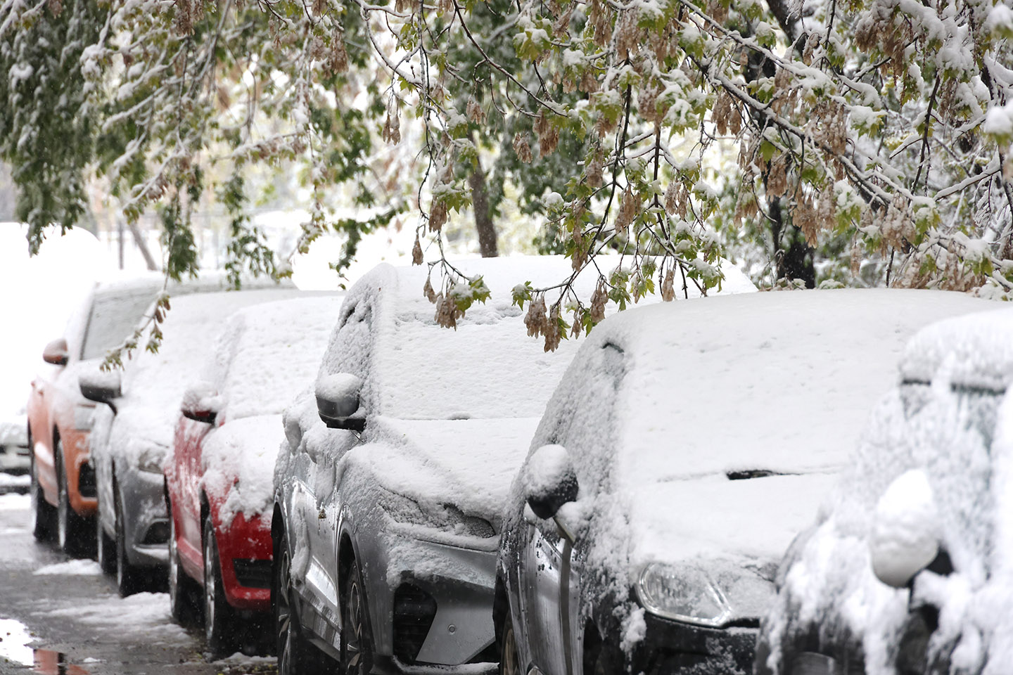 Фото: Сергей Карпухин / ТАСС