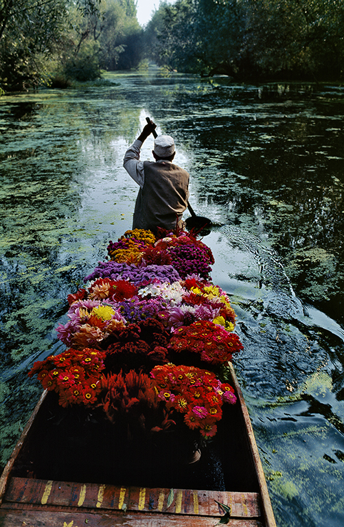 Стив МакКарри. Продавец цветов на озере Дал. Сринагар, Джамму и Кашмир, Индия, 1996