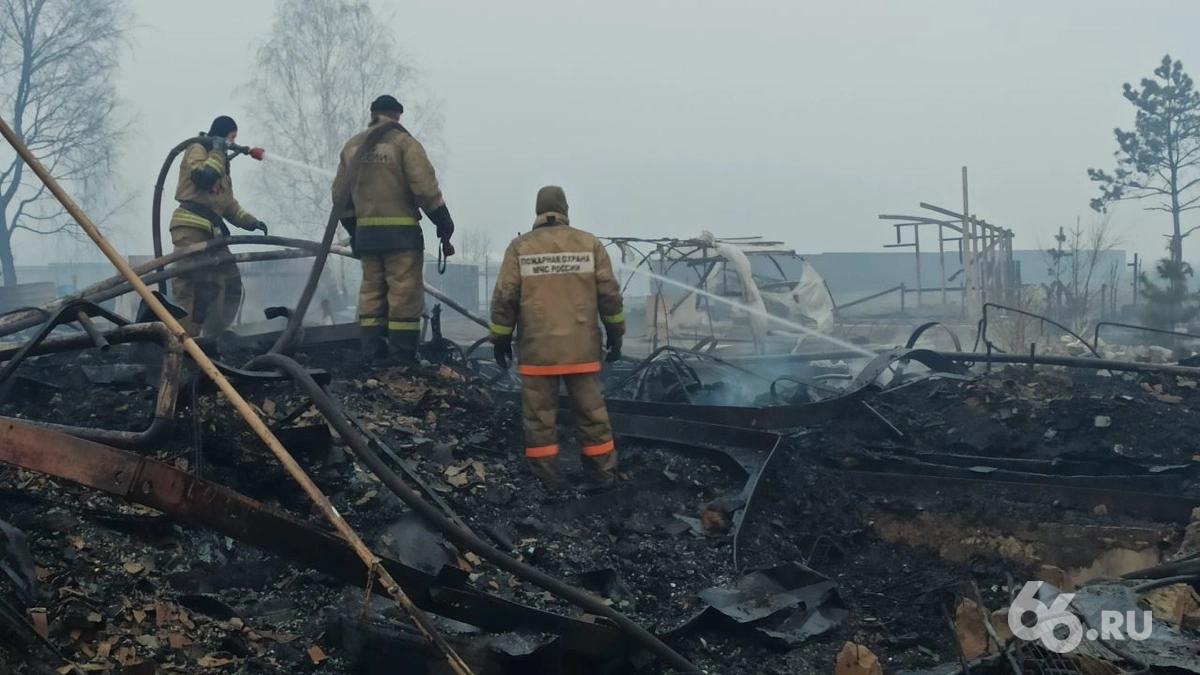 Дмитрий Антоненков, 66.RU