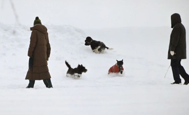 Владимир Федоренко / РИА Новости