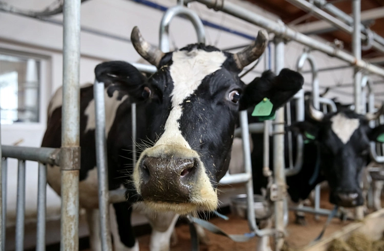 Правительство Приморского края