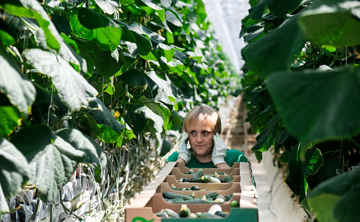 Александр Авилов / АГН «Москва»