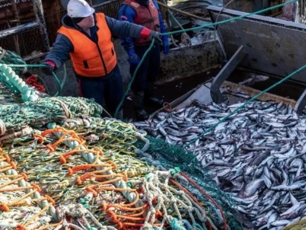  пресс-служба Росрыболовства 