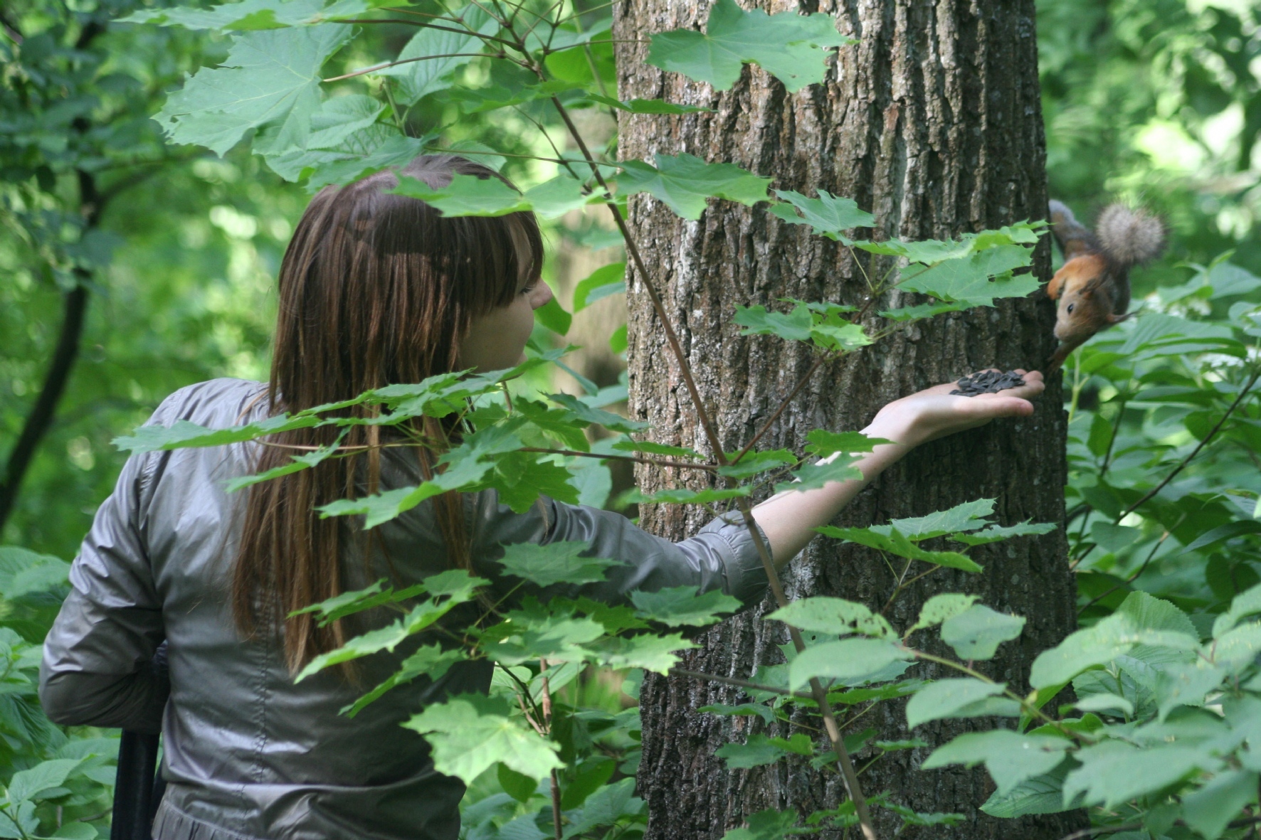Фото: Андреев Сергей/PhotoXPress.ru