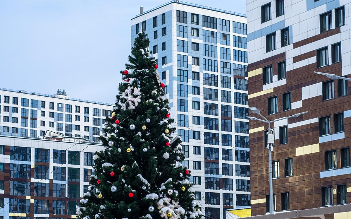 Фото: Artem Yampolcev / Shutterstock / FOTODOM