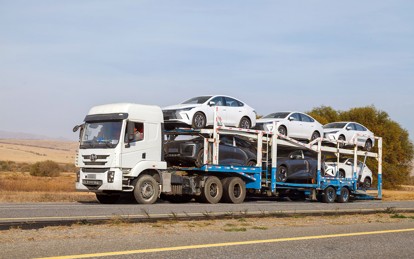 Фото: Vladimir Konstantinov / Shutterstock / FOTODOM