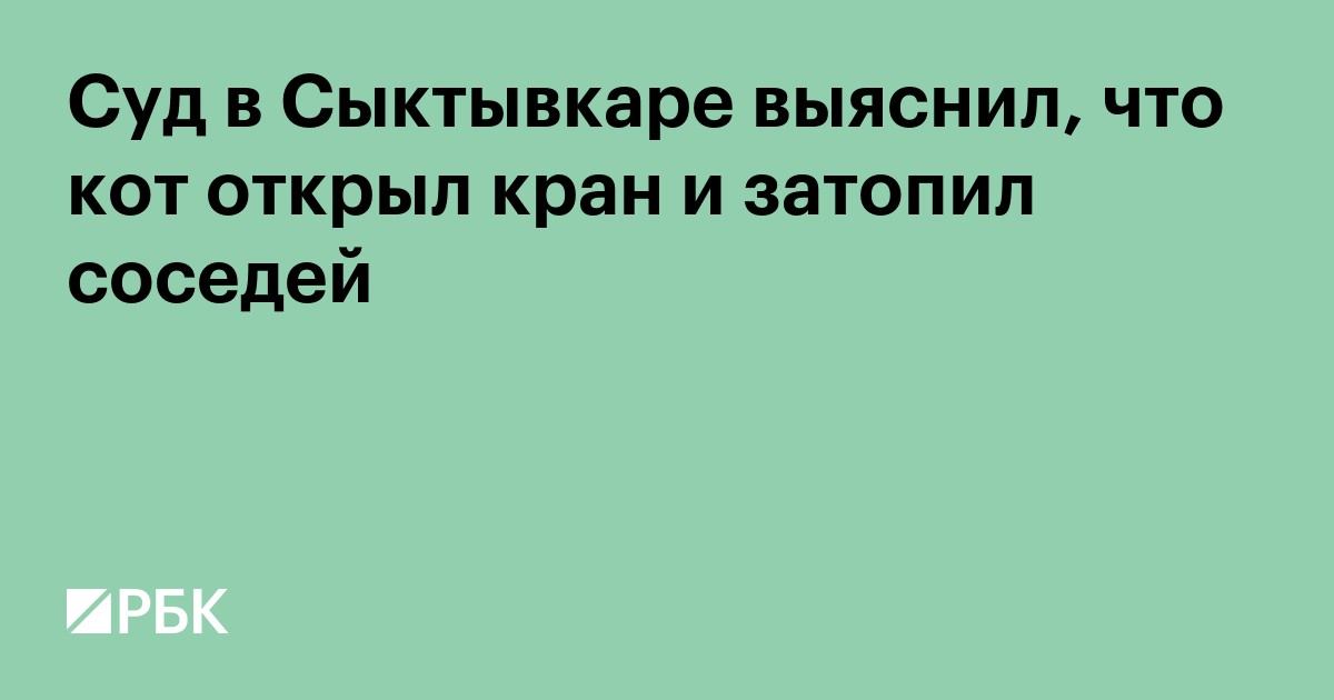 Суд в Сыктывкаре выяснил, что кот открыл кран и затопил соседей
