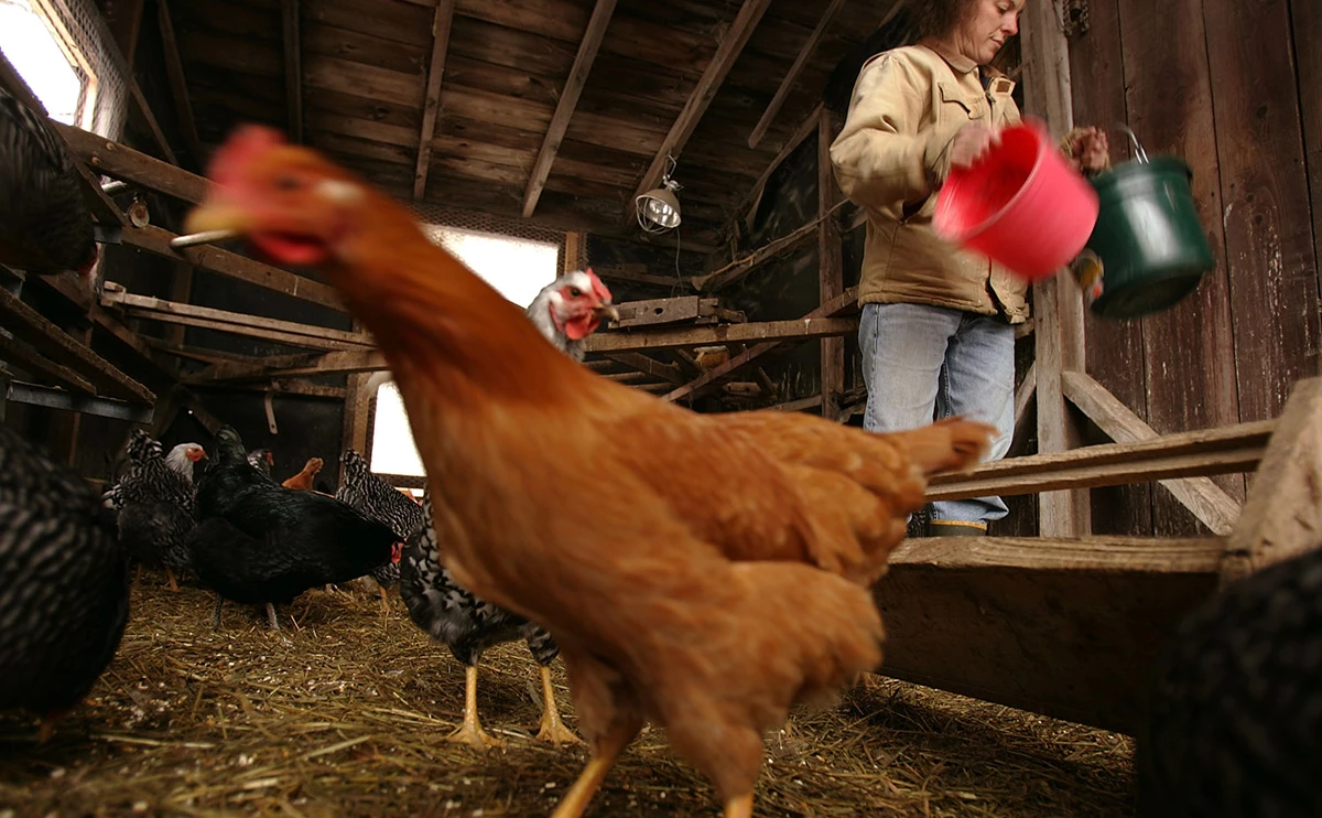 Spencer Platt / Getty Images