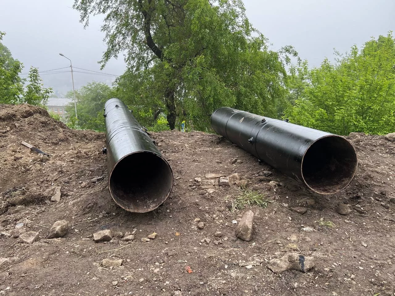 РБК Приморье