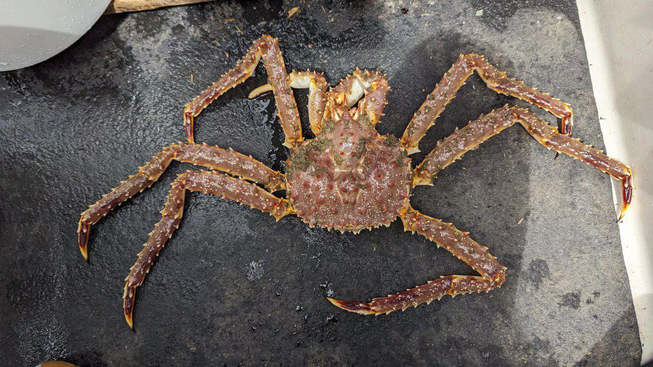 РБК Приморье