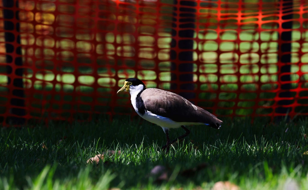 Jenny Evans / Getty Images