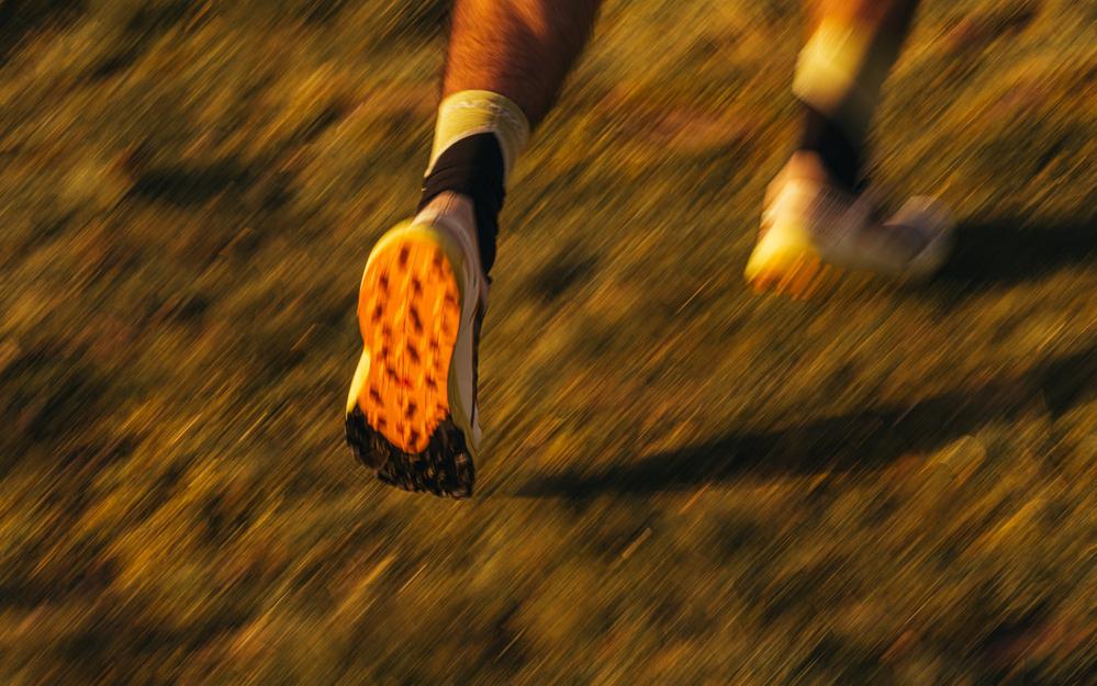 Фото: Shutterstock