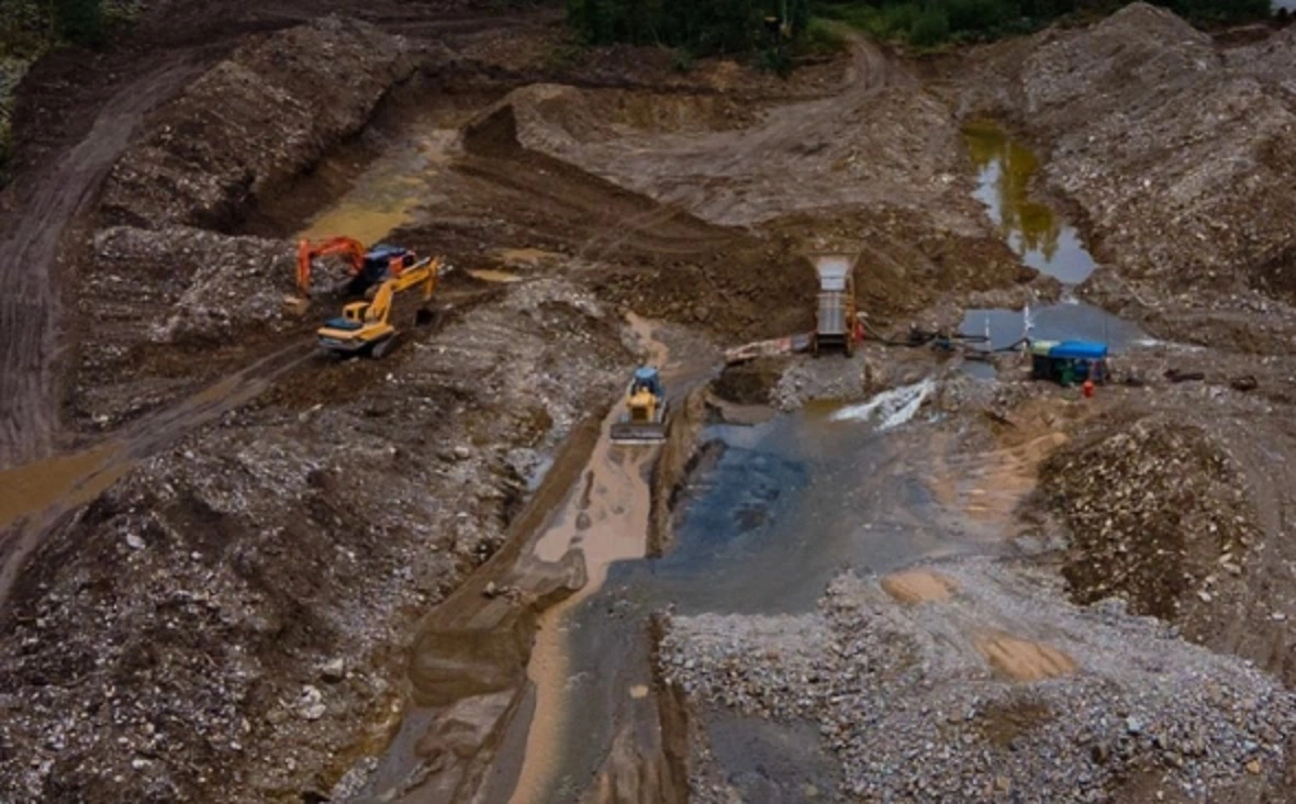 Светлана Радионова / t.me