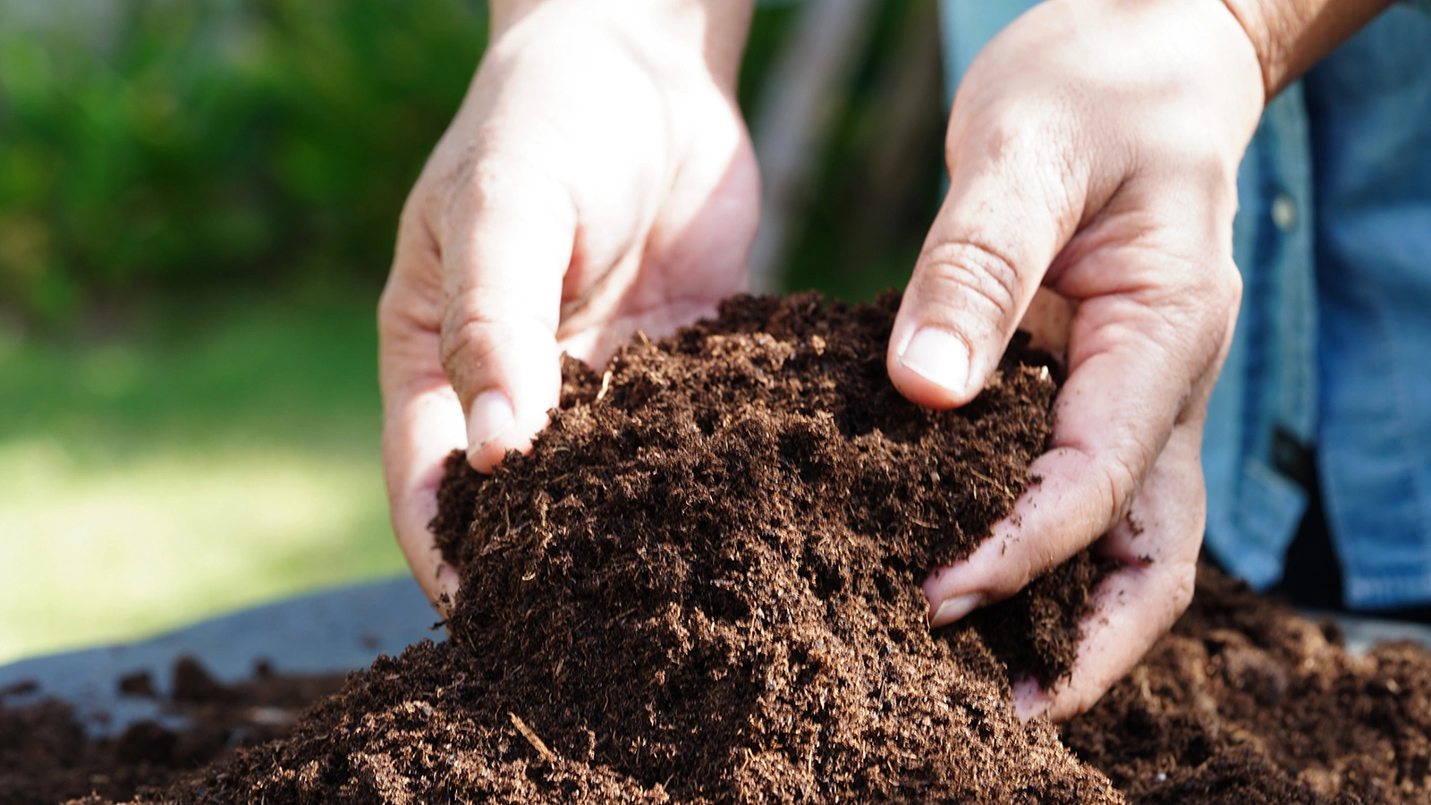 Гумус — это сложное органическое вещество почвы, которое образуется в процессе гумификации