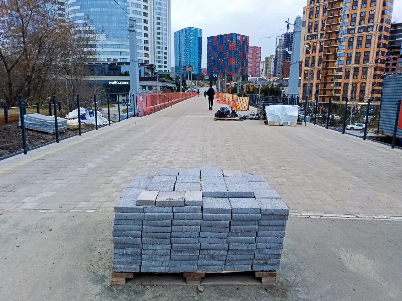 Алексей Коваленок/РБК Новосибирск