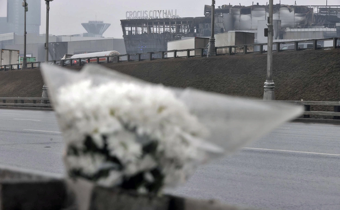 Михаил Гребенщиков / РБК