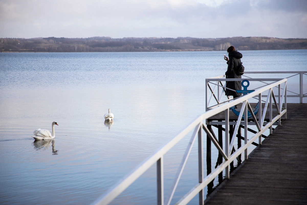 Александр Подгорчук