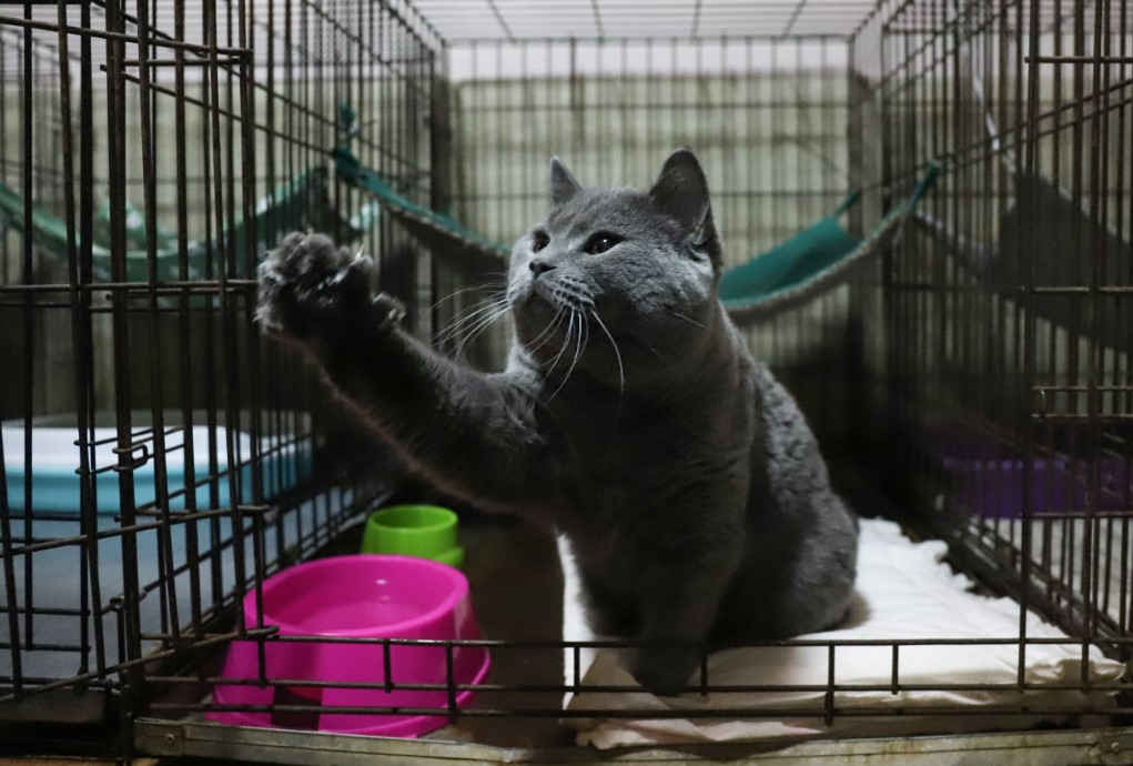 Фото: Размик Закарян / URA.RU