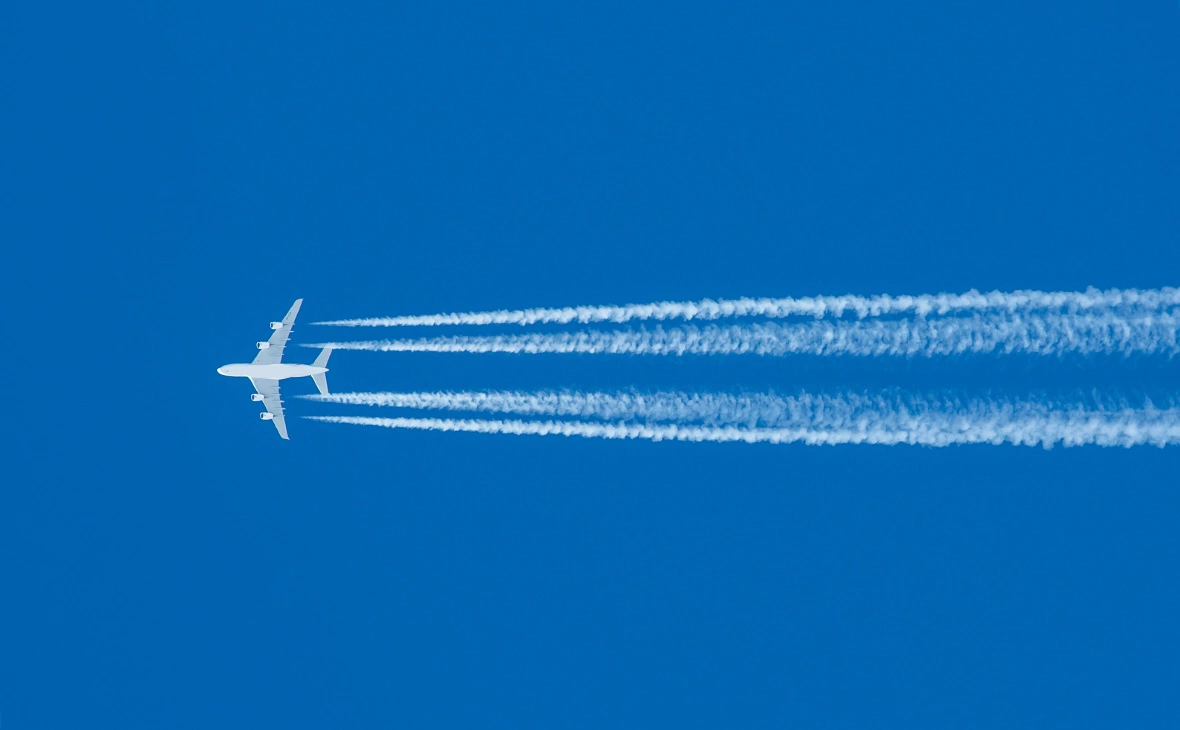 Марина Лысцева / ТАСС