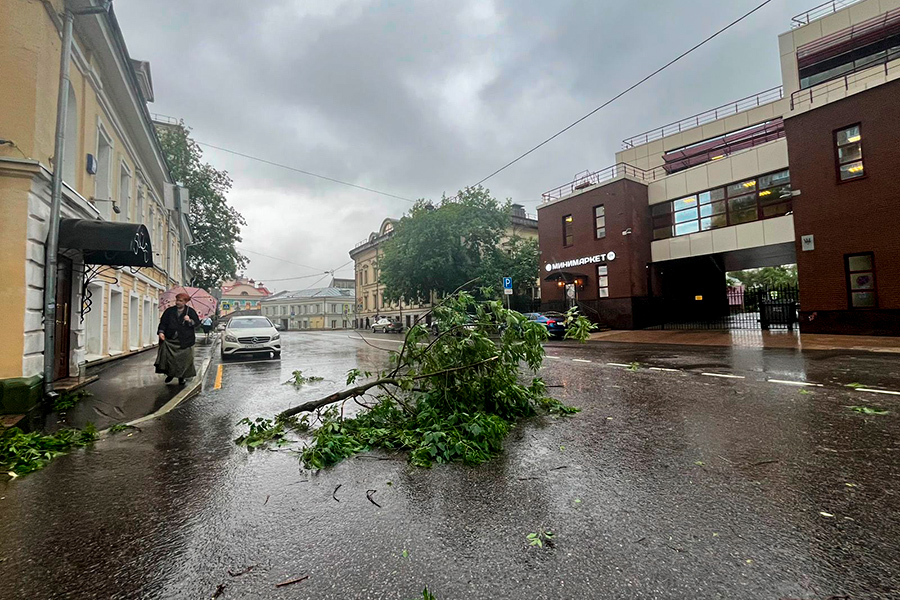 Ураган срывал ветки с деревьев, в результате чего они оказывались на проезжей части в некоторых районах.&nbsp;