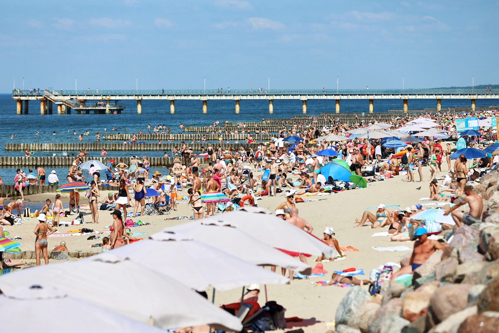 Александр Подгорчук