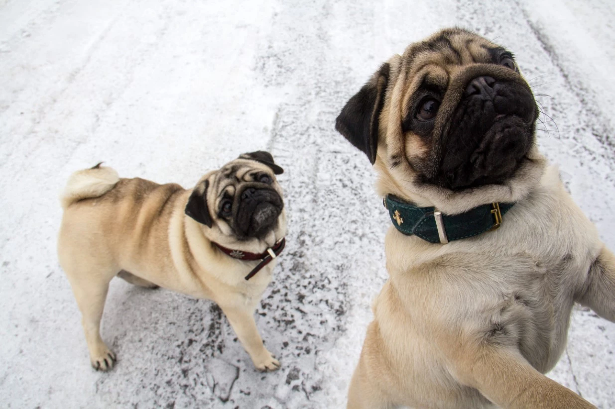 Илья Московец / РИА URA.RU