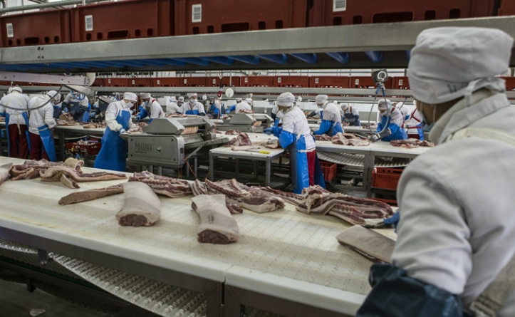 Николай Гингазов / Global Look Press