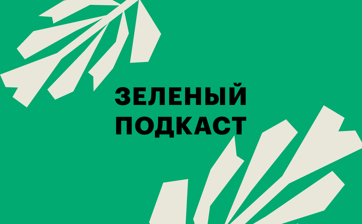 «Зеленый» подкаст: как устроена система обращения с отходами в России